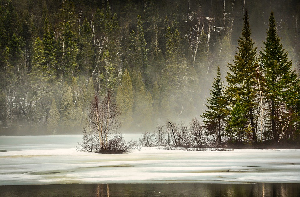 Partially frozen lake with mist rising and evergreen trees along the shore, influenced by the cold climate.