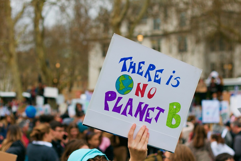 A person holds up a protest sign saying "there is no planet B" at a climate rally.