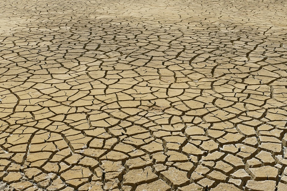 Dry, cracked earth in a desert environment reflects the harsh climate.