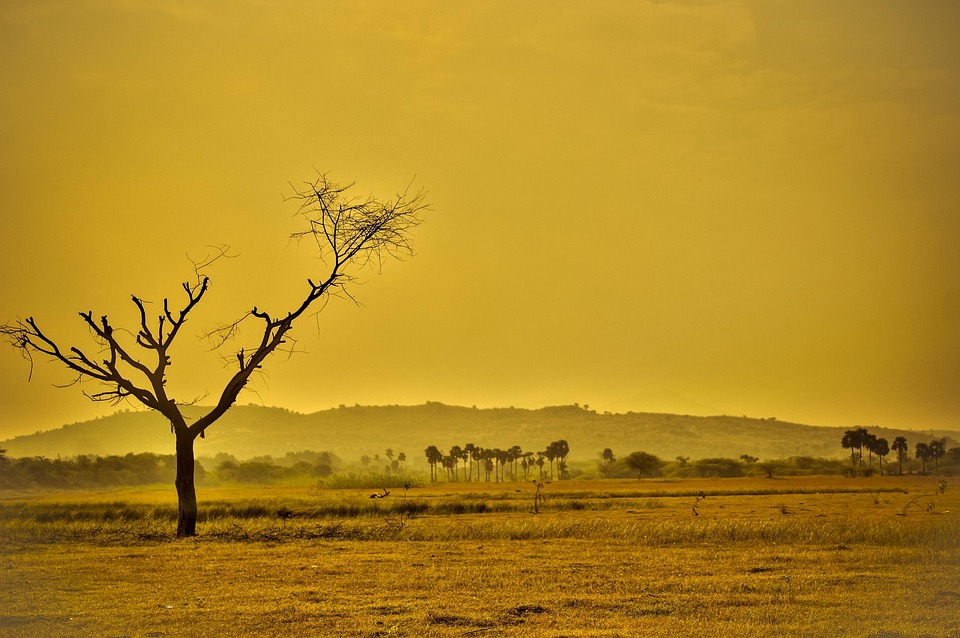 What Is The Purpose Of The Climate Friendly Farming Project