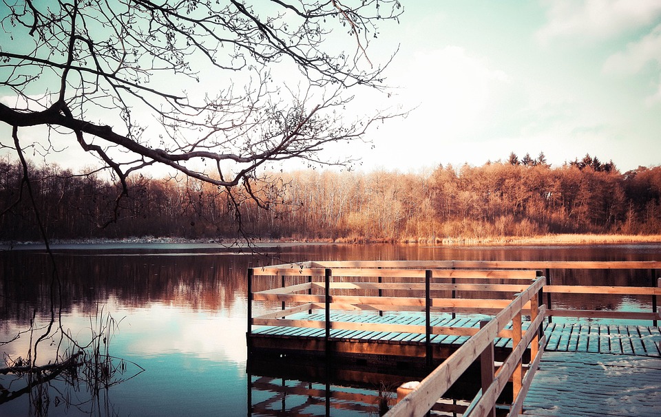 A serene lakeside with a wooden pier extending into the water, influenced by the calm climate, surrounded by bare trees and a forest in the distance.