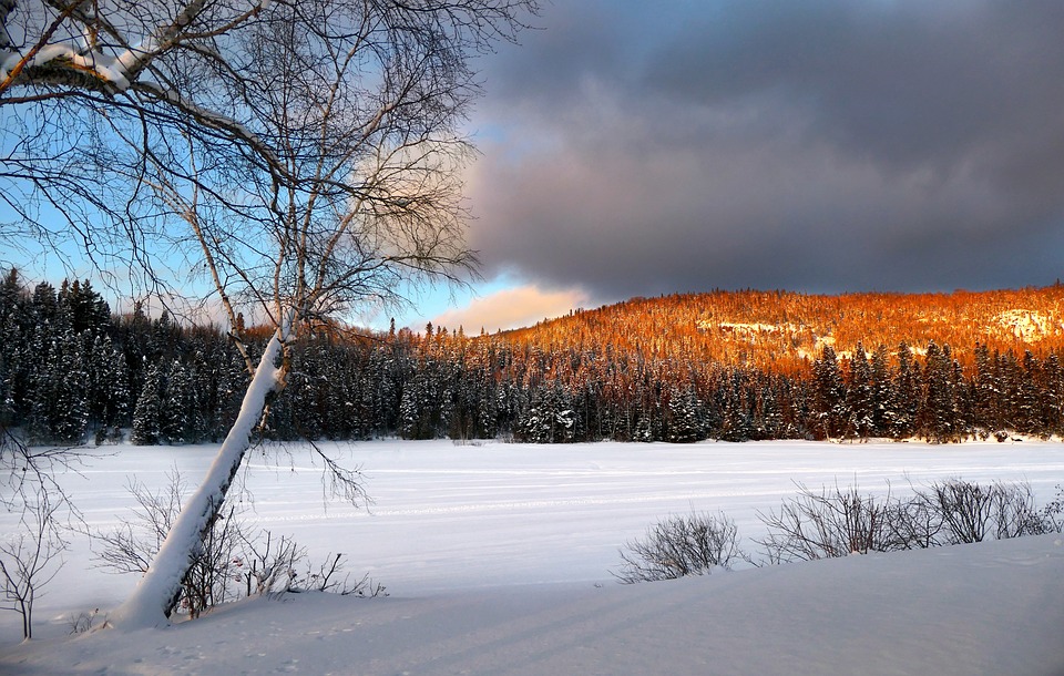 Snow-covered landscape at sunset with sunlight illuminating a climate-affected forested hill.