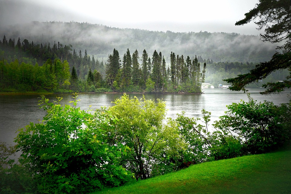 Misty riverside landscape with lush greenery and trees under a cloudy, climate-affected sky.