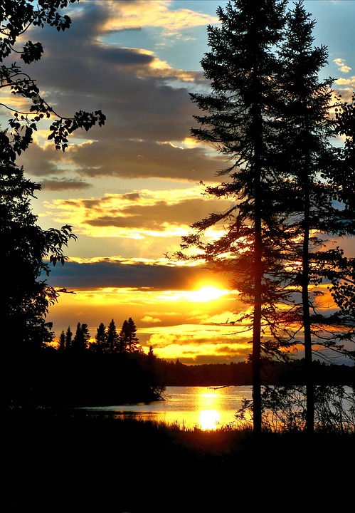 Sunset over a tranquil lake with silhouettes of trees in the foreground, reflecting the climate's serene beauty.