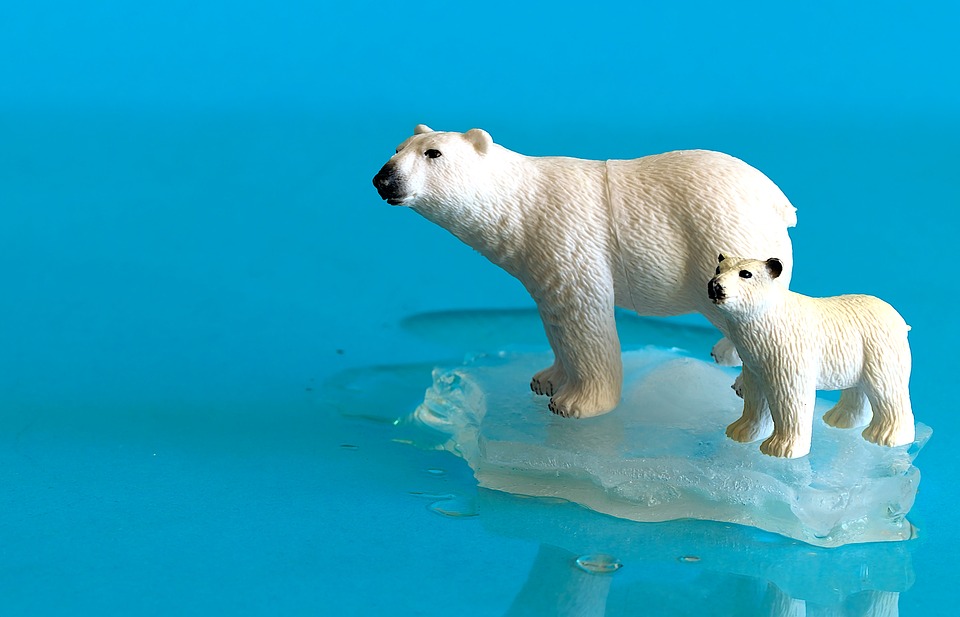 Plastic models of a polar bear and its cub on melting ice against a blue background, symbolizing climate change.