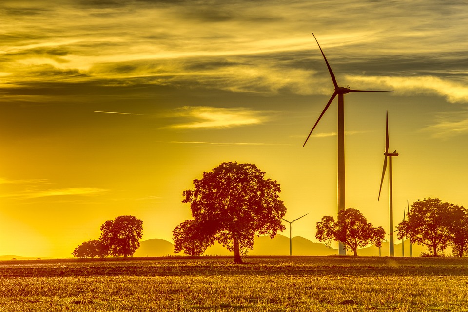 What Was The Effect Of Climate Change And Economic Depression
