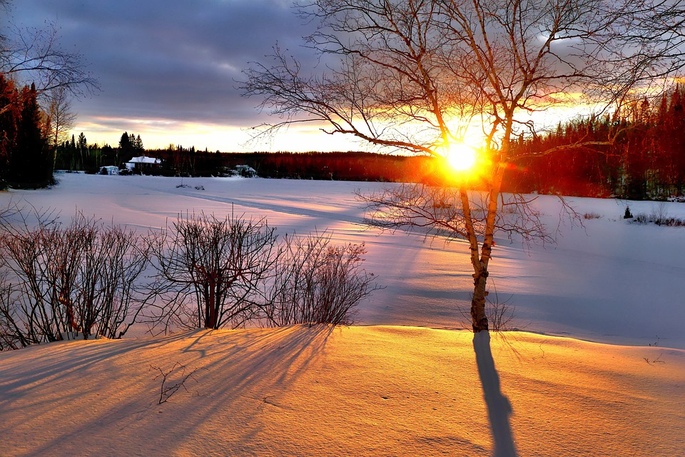 Sunset casting long shadows over a wintry climate landscape with snow-covered ground and a bare tree.