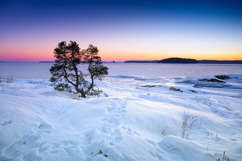 A tranquil winter scene at dusk, featuring climate-influenced snow-covered ground, a solitary tree, and a frozen lake against a gradient twilight sky.