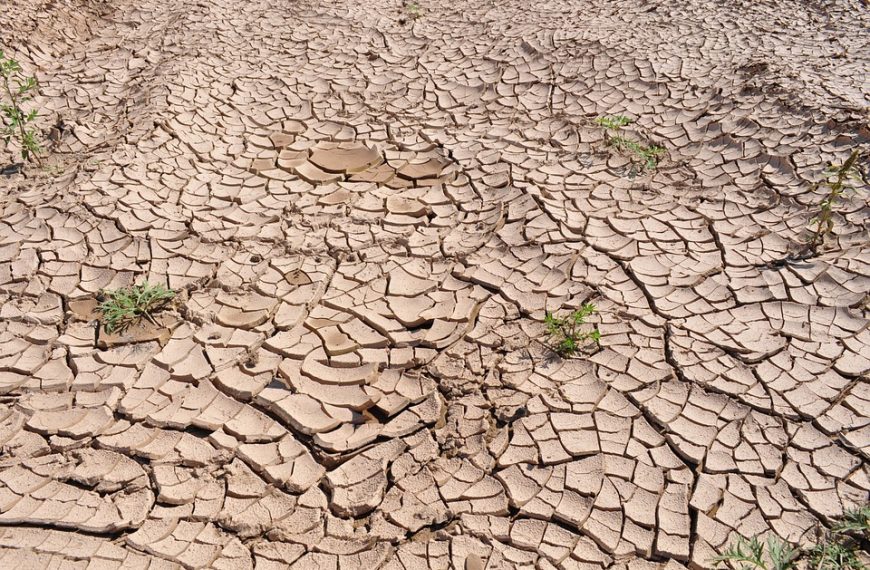 When Was The Last Global Warming?