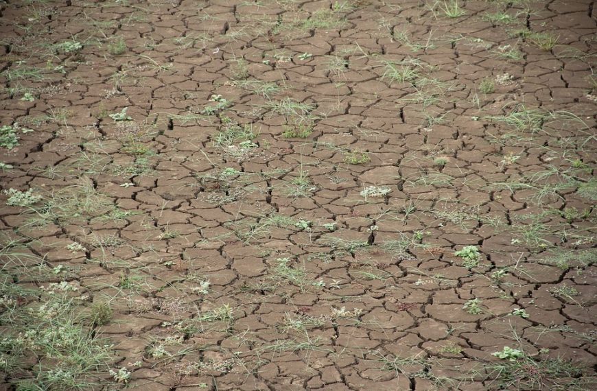 What Is The Climate In Arkansas