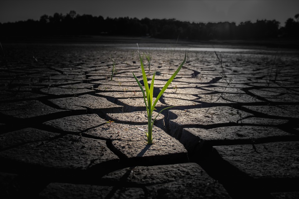 Are Clean Energy Etfs A Good Investment?
