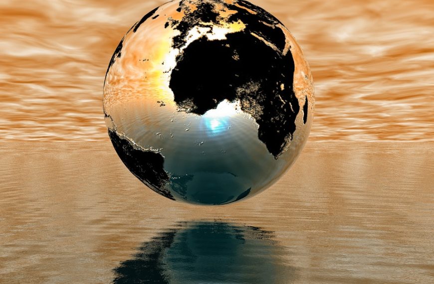 How Does Global Climate Change Most Directly Impact Marine Life